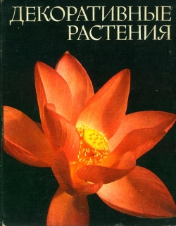 Декоративні рослини