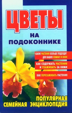 Морозова I. Квіти на підвіконні