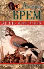 Альфред Брем. Життя тварин. Том 1-24 (комплект 24 книжки)