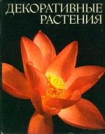 Декоративні рослини