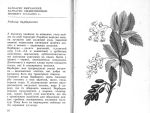 Єлін Ю. Я. Рослини наших лісів