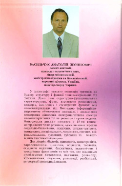 Васильчук Анатолій. Функціональна анатомія тонкоматеріальних тіл людини