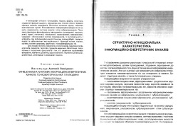 Васильчук Анатолій. Функціональна анатомія інформаційно-енергетичних каналів тонкоматеріальних тіл людини